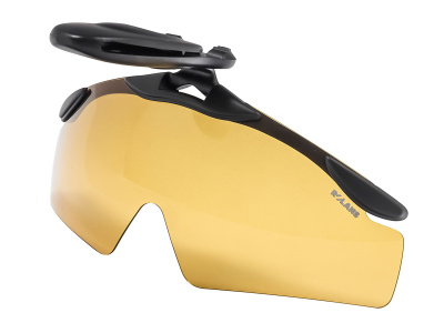 ROL-P010013Y (1)