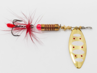 ROL-BUG-DR10-009 (2)